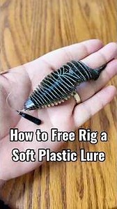 How to Free Rig a Soft Plastic Lure for catching big bass! #bassfishingtips