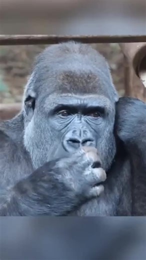 Touch prank on TikTok