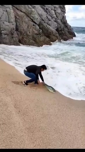 75K views · 386 reactions | Ultimate ASMR Fishing Adventure – Hook, Line, and Sinker! ✨ #FishCatchingASMR #ViralVideo | Silent Crunch | Facebook