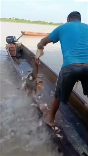 Cuánto vive una piraña realmente 🐟 #Pirañas #Naturaleza