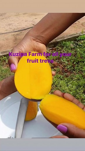 3.3K views · 22 reactions | Exotic Fruit trees for sale at Kuzipa...