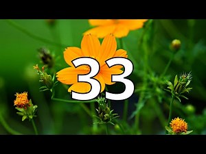 33 Second Countdown Timer With Alarm Sound At the End(Simple Beep)