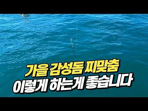 [구찌낚시] 가을 감성돔 찌맞춤 바닥이냐 띄우냐? 아~ 이렇게 찌맞춤 하는 게 좋구나! 통영 감시 흘림낚시 막대찌채비