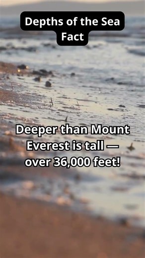 What’s Hiding in the Deepest Place on Earth? #facts #seafacts