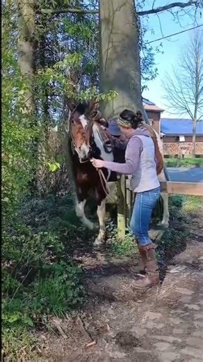 Faire passer un cheval borgne dans un passage étroit 🐴