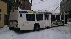 SEPTA Bus Gets Stuck In Spring City: Cops