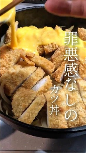 2025年12月11日 罪悪感なし カツ丼