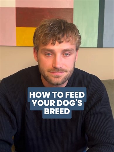 Essential Dog Feeding Guide by Breed