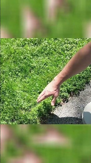 Husqvarna Automower 115H Setup | How I Installed My Robot Lawnmower