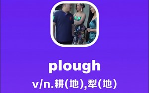 plough：耕地，犁地