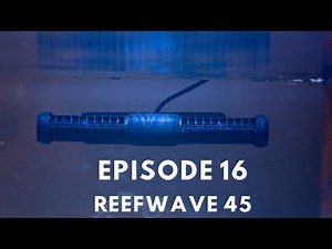 150g Reef Tank: Ep 16 - ReefWave 45 First Impressions
