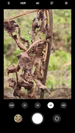 Poco f3 gt camera zumming tast you tube #viral #shot #video