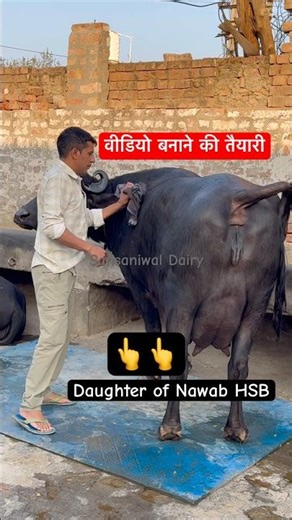 Daughter of Nawab HSB ❤️