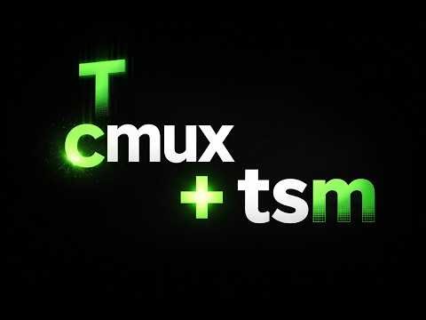 I built a terminal session manager (to use with cmux)