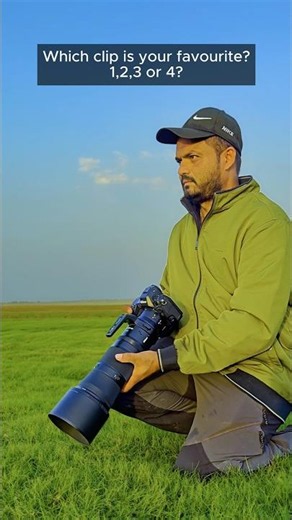 Wildlife photography with Nikon Z8 #photography #wildlife #nikon #birds #nature #shorte