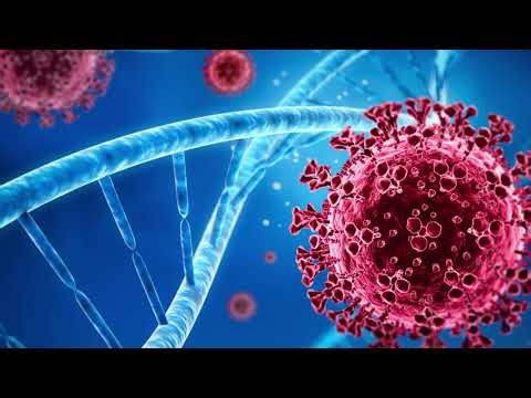 chemagic 360 Instrument - Discover the capabilities of the chemagic 360 instrument