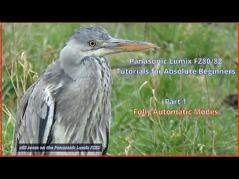 Panasonic Lumix FZ80/82 For Absolute Beginners: Part 1 Using the Fully Automatic Modes.