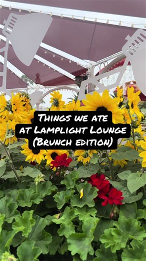 I always feel weird doing food reviews as someone with a broken pancreas, but whatever. Not everything at Disneyland is bolus worthy. Here are my takes. #seejentravel #disneylandresort