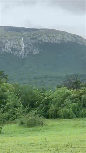🌧️✨ Gracias a las recientes lluvias, la naturaleza nos regala un espectáculo único en el Cerro de La Peña, en Soto la Marina: ¡tres impresionantes cascadas que llenan de vida el paisaje! 💧🌿 Agradecemos a Carlos Gutiérrez por compartirnos estas imágenes que nos recuerdan lo hermoso que es Tamaulipas. ❤️ #TamaulipasSeguroTeEnamora #TurismoTamaulipas #SotolaMarina #CerroDeLaPeña #NaturalezaViva | Turismo Tamaulipas