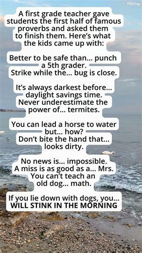 A First Grade Teacher Asked Kids To Finish These Proverbs