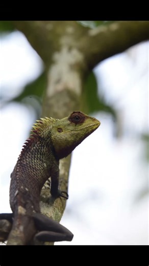 shutter speed - 1/200 / iso - 400 with 6.3 Aperture in nikon5300d #shutterspeed#sigmalens