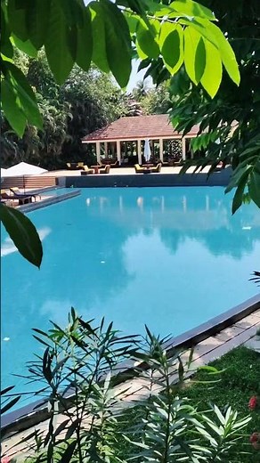 The Diwa Club by Alila Goa,Pool👙,Goa Trip #goa