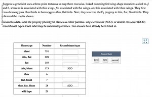 Suppose a geneticist uses a three-point testcross to map three ... | Filo