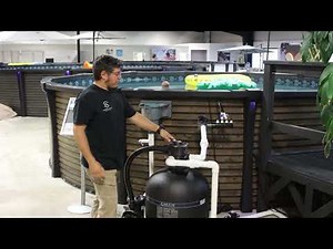 Understanding and Replacing Sand Filter Media