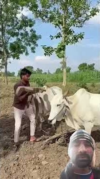 #comedy #funny #vidios