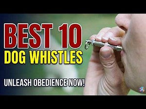 Best 10 Dog Whistles for Training & Recall (Tested & Reviewed)