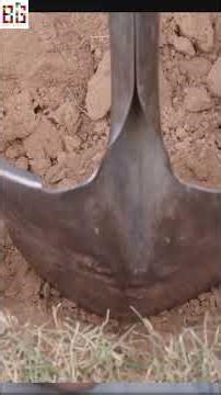 The most genius Minecraft Manhunt trap you need to try.