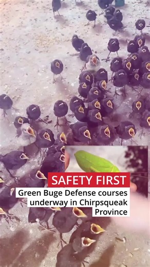 Understanding the Green Buge Defense Program