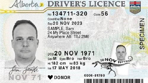 New Alberta driver’s licence and ID cards to save $1M per year, province says