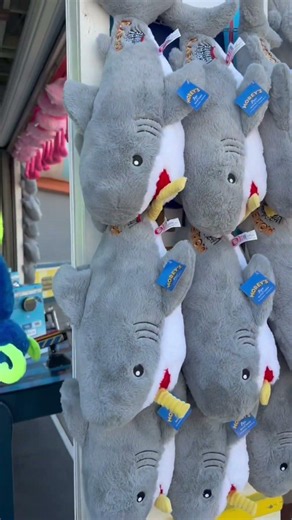 Moreys Piers Wildwood Boardwalk Prizes! #wildwood2026 #wildwood #travel #wildwoodboardwalk