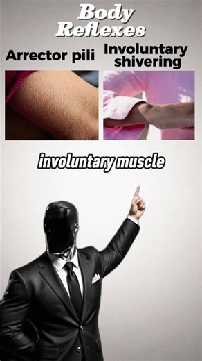 Why Tiny Muscles Contract To Raise Your Body Hair In Cold Air! 🥶