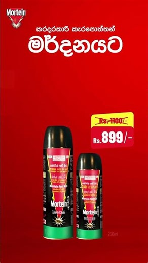 Say Goodbye to Cockroach Problems