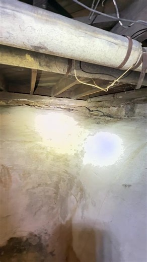 Unchecked termite activity can quietly cause thousands of dollars in damage before you even know there’s a problem. 🐜🏠 Protect your home and your investment—add a WDO inspection to your home inspection today for extra peace of mind. 🔗 https://hubs.ly/Q03Z9sSh0 | Orlando Home Inspection - formerly Inspectagator