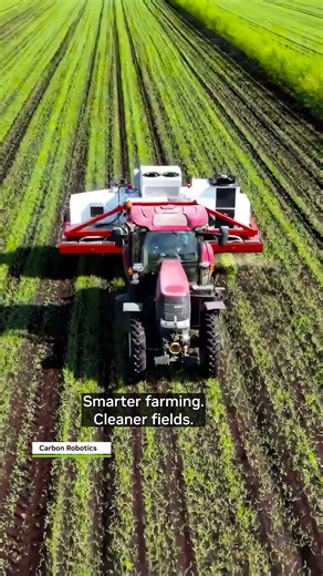 Cultivating Healthier Crops Through AI