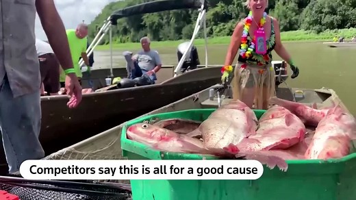 12K views · 258 reactions | This fishing competition helps in the removal of invasive carp from the Illinois river | Reuters | Facebook