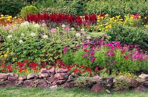 15 plantes et arbustes d'extérieur simples à cultiver