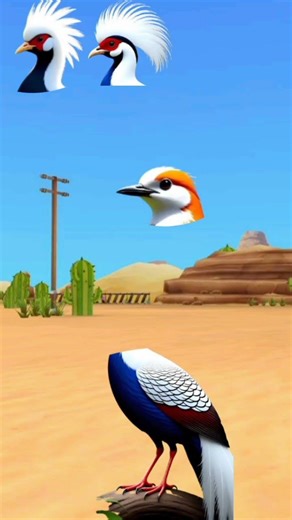 #beautful #birds #animals #cowcartoon #cowcartoon #animals #cowdrawing #cowillustration #cuteanimal