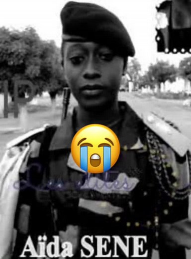 ETAT MAJOR ÉLITE PIGEON sur TikTok