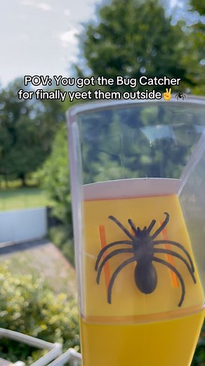 Always better than killing them…🤷‍♂️ #reels #insect #bug #spider #house | Bug Gear