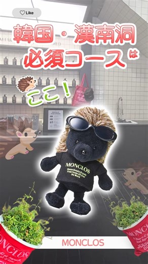 韓国・漢南洞必須コース はここ！