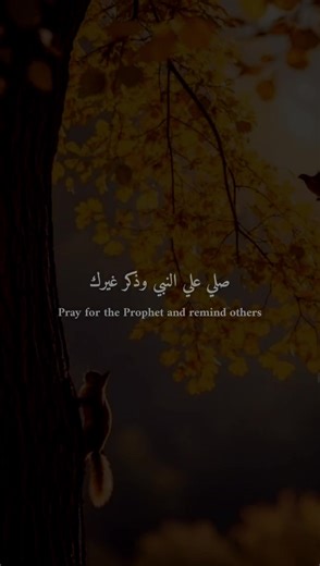 #اللهم_صلي_على_نبينا_محمد #صلوا_على_رسول_الله #القران_الكريم_راحه_نفسية😍🕋