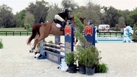 7th and 8th for the kids today🤩