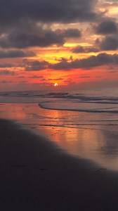 44K views · 1.6K reactions | Starting your day with the beauty of a Hilton Head Island sunrise is always a good idea. ✨ : @katieraechel | Visit Hilton Head | Facebook