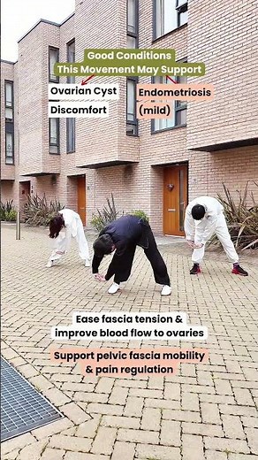 Gentle Stretch for Ovarian Cyst & Endometriosis Relief | Daily Movement for Pelvic & Hormone Flow