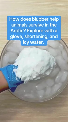 This is a classic science exploration for students of all ages! To better understand adaptations for the cold, give it a try!
