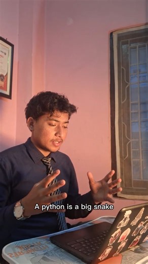 Lelin Babu Khadka on Instagram: "Python is a big snake 💻❌️🐍✔️"